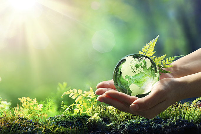 ¿Qué es la etiqueta Ecolabel y cómo puedo conseguirla?